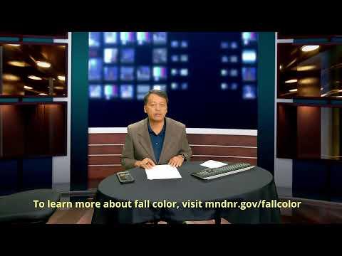 3HMONGTV CONVERSATION | Tham nrog Kao Thao, MN DNR Naturalist txog fall color.