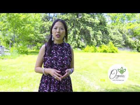 3HMONGTV Organic Living with Mhonpaj Lee. Ep2.