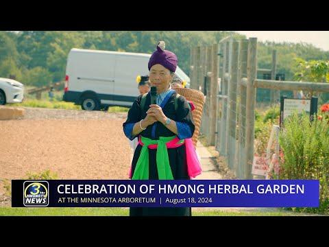 3HMONGTV Newsbrief | August 19, 2024 - Hmong herbal garden at the Minnesota Arboretum.